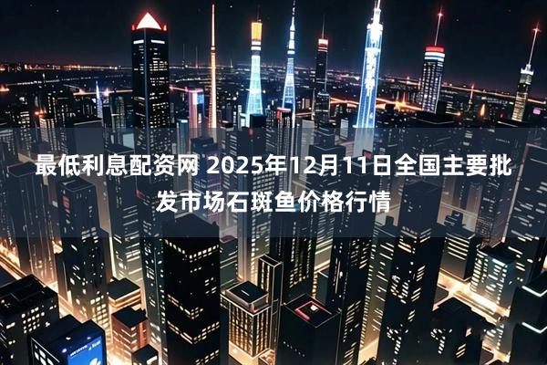 最低利息配资网 2025年12月11日全国主要批发市场石斑鱼价格行情