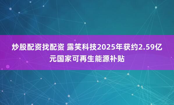 炒股配资找配资 露笑科技2025年获约2.59亿元国家可再生能源补贴