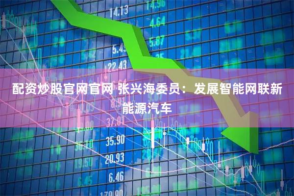 配资炒股官网官网 张兴海委员：发展智能网联新能源汽车