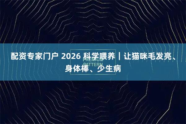 配资专家门户 2026 科学喂养｜让猫咪毛发亮、身体棒、少生病