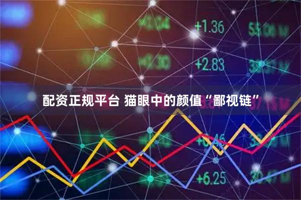 配资正规平台 猫眼中的颜值“鄙视链”